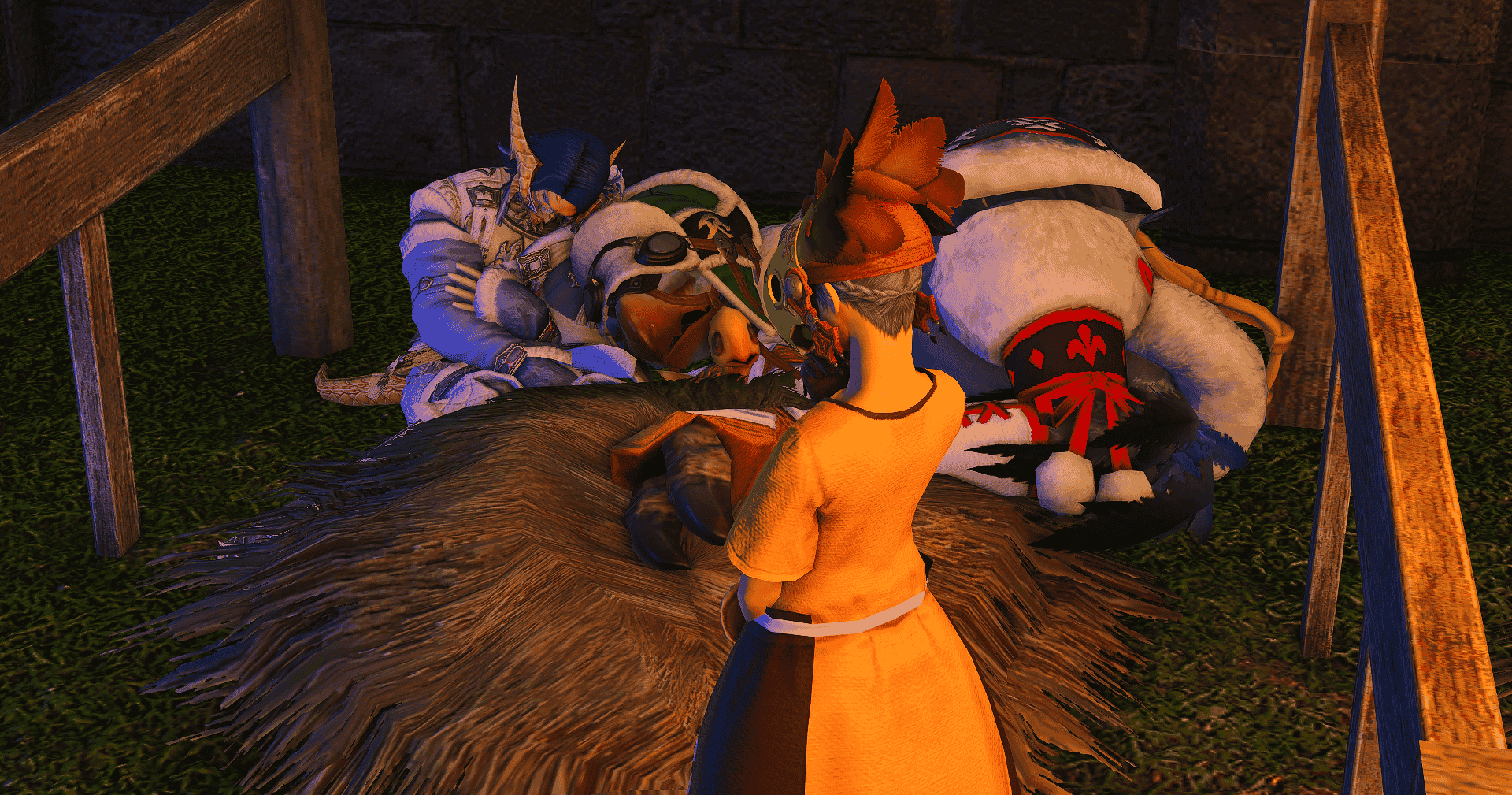 liolaeus sleeping in a chocobo stable with birds while the chocobo keep looks on